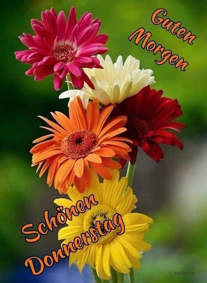 285156219_1112649319317731_1562002550931854551_n