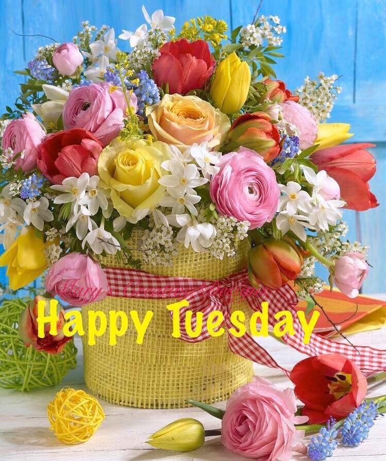 285510247_3215293785375083_6266207566857526294_n