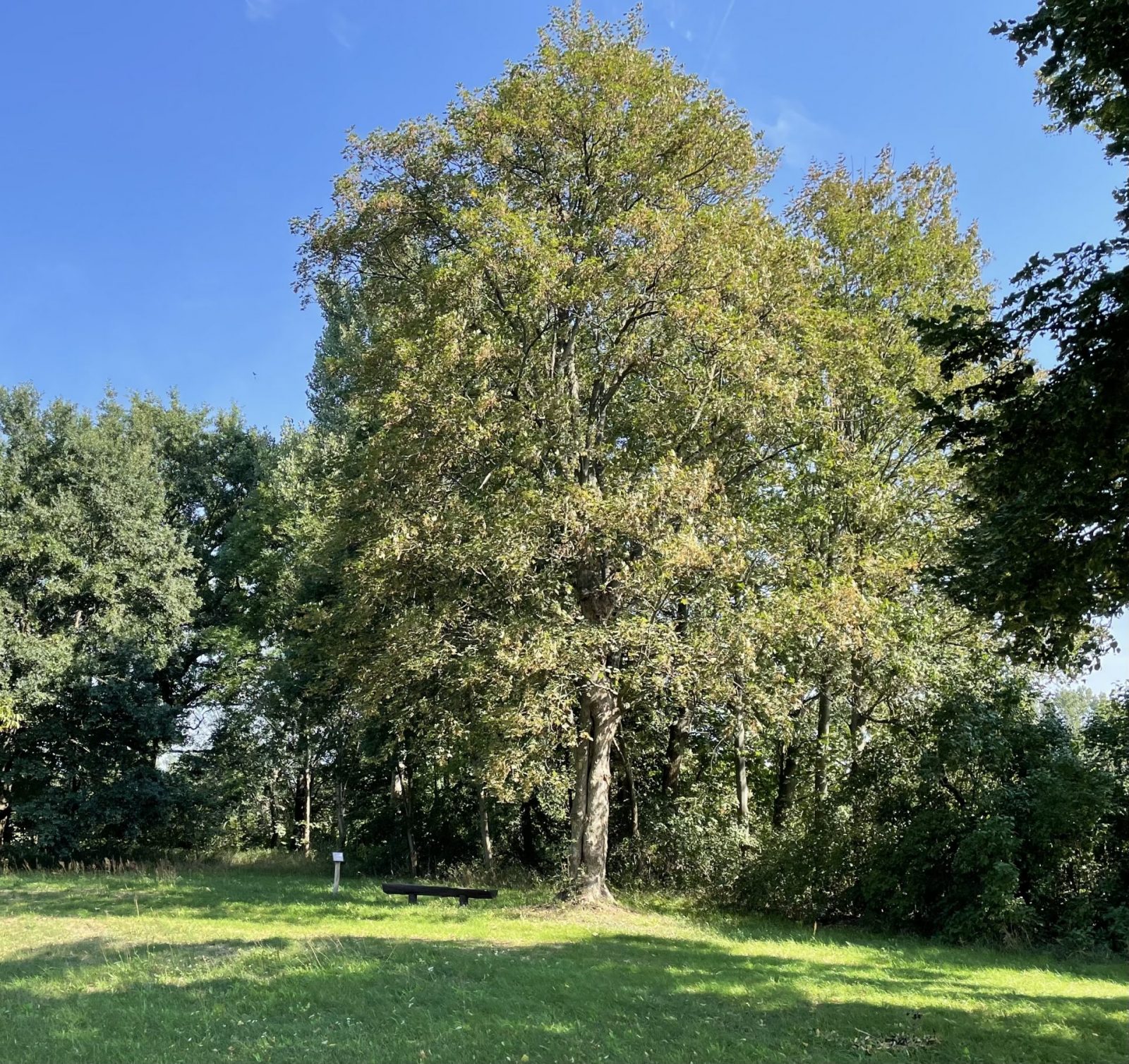 285E8031-87F8-4330-A9BD-2B20F5168F73