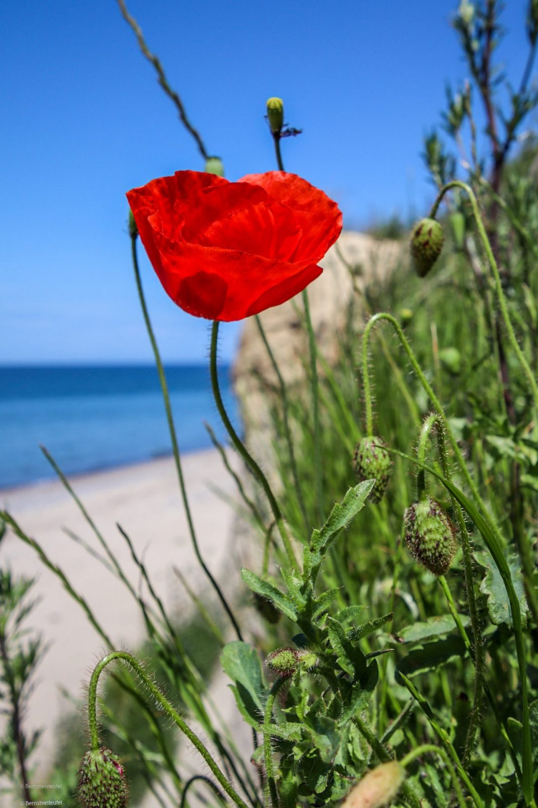 286033757_891006475187434_993330798057996954_n