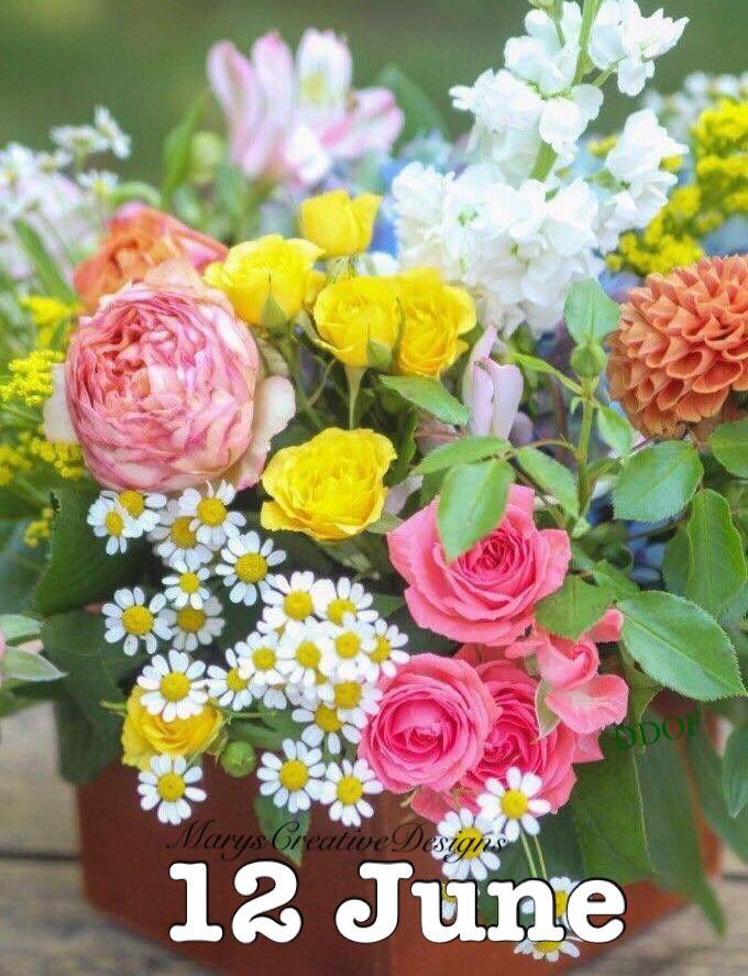 286221443_3219218838315911_2490863670602710801_n (2)