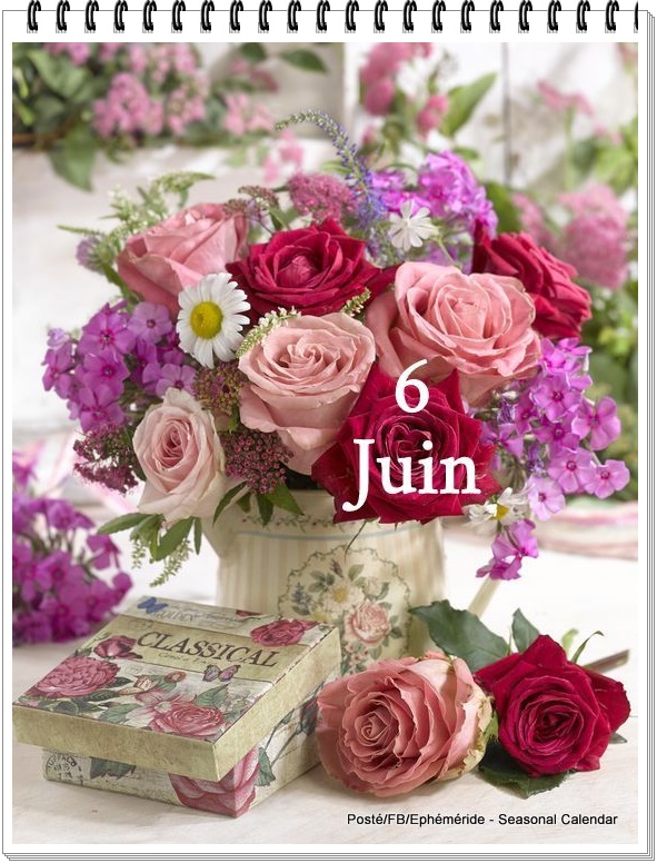 286483973_5447476371969081_5088948797022857426_n