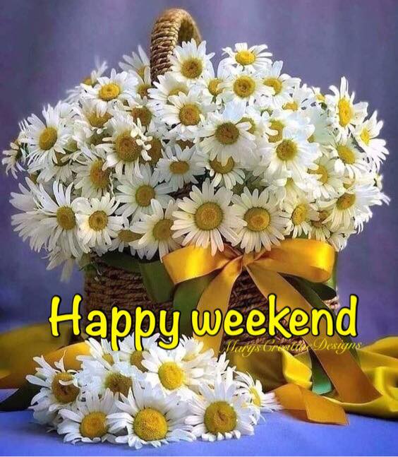 286909137_3218406055063856_313846127279166347_n (1)