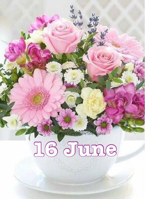 287004505_3223080241263104_3093124955712939850_n (2)