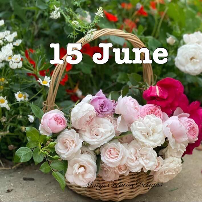 287006503_3222146624689799_8685935289204049446_n