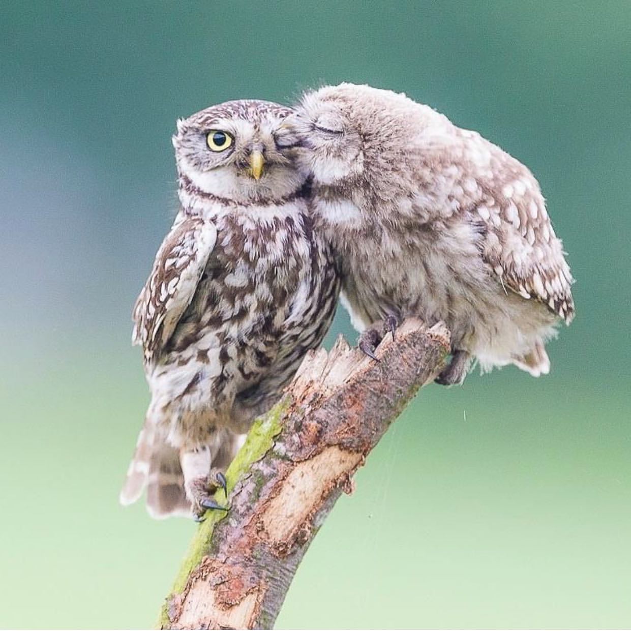 287498804_779371870096654_5572477828141113489_n