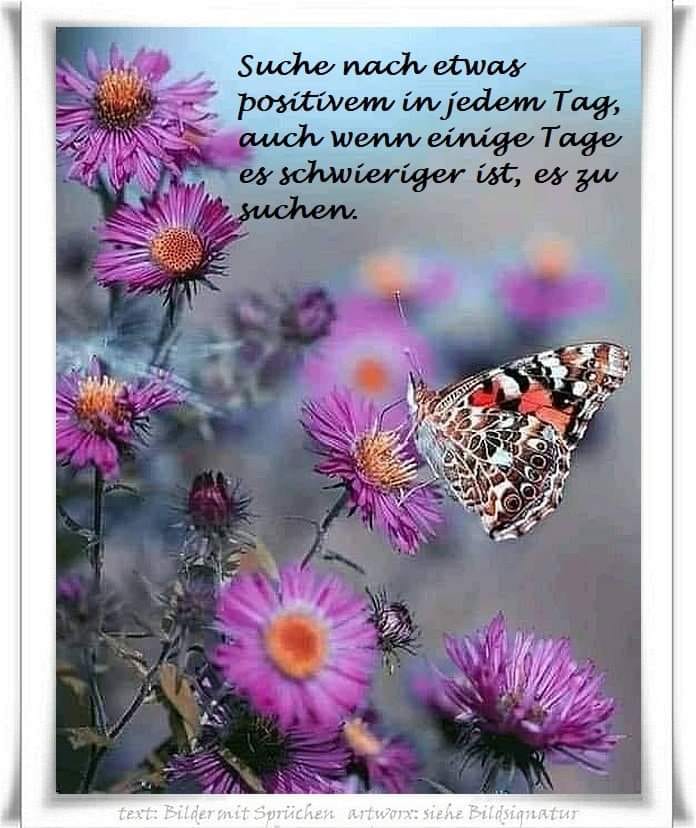 287601603_395918862513516_2590645596903547571_n