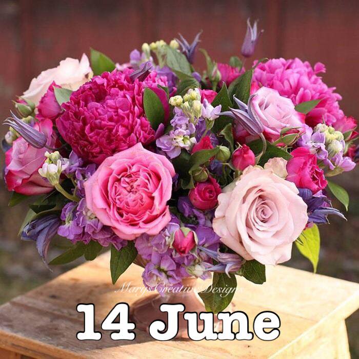 287869255_3221316898106105_220518969477071405_n (2)