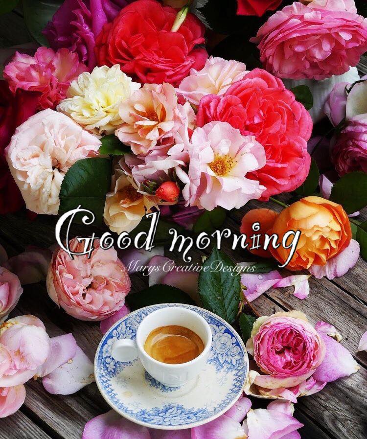 288030283_3222156664688795_7065156269160558270_n