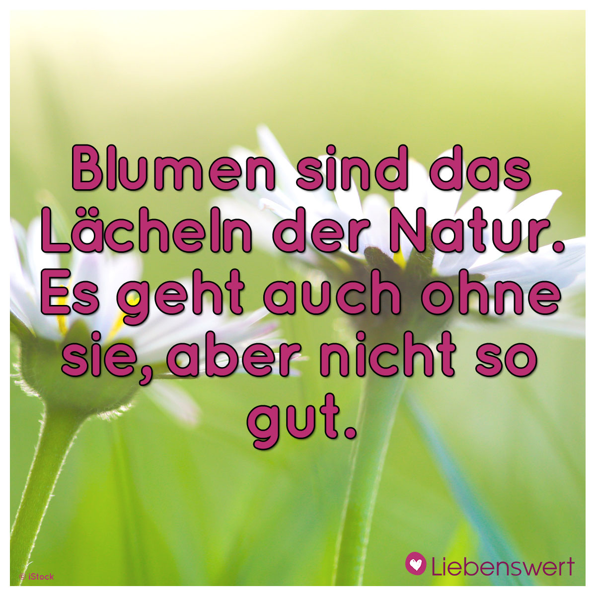 288048263_6115284465151893_5274940634670174535_n