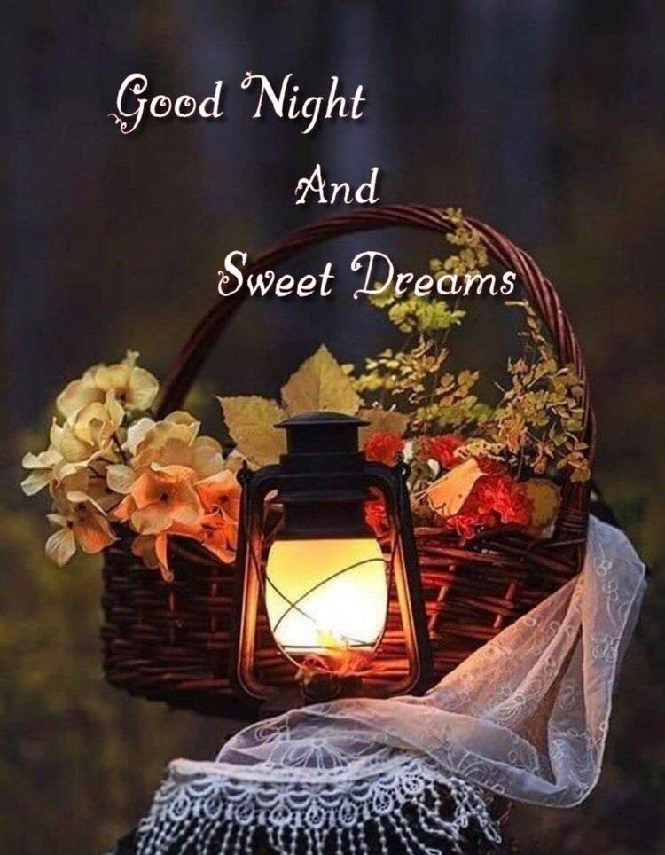 288228457_3223521284552333_467835669599376355_n