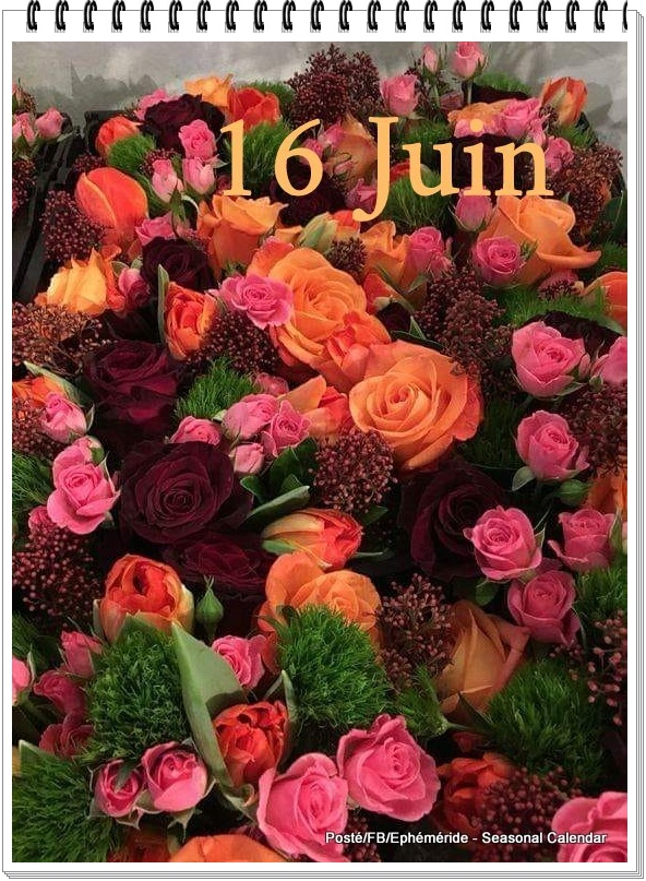 288470759_5475806759136042_488513097853655100_n