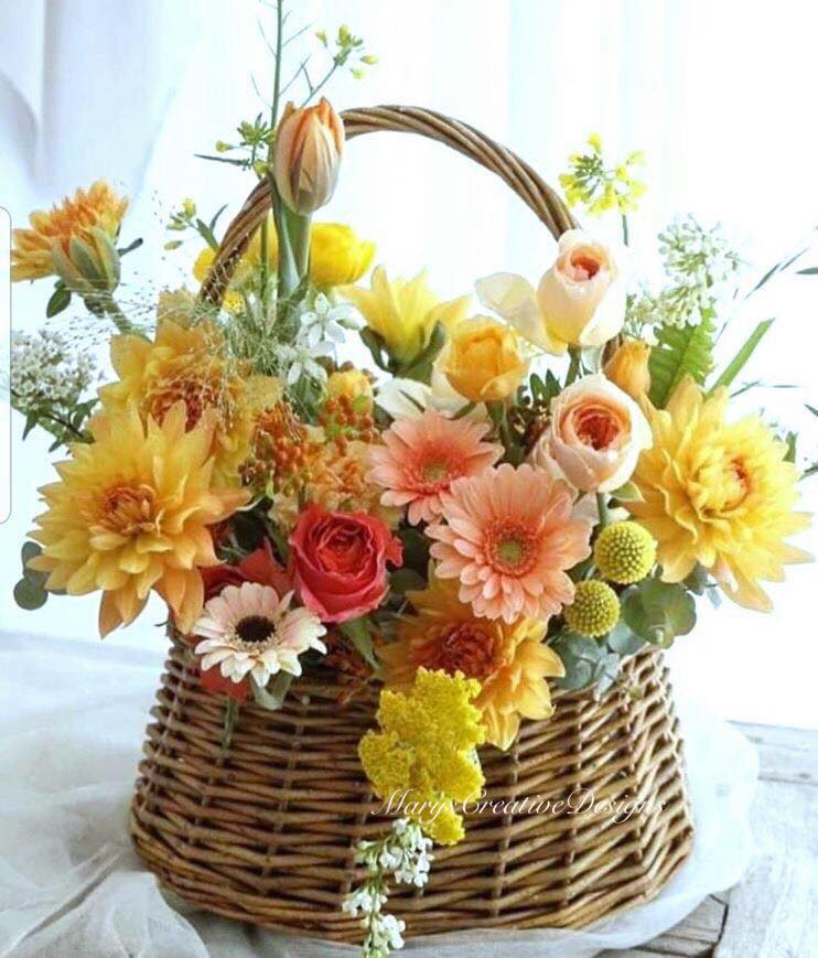 288474411_3225657127672082_5880923681783240676_n