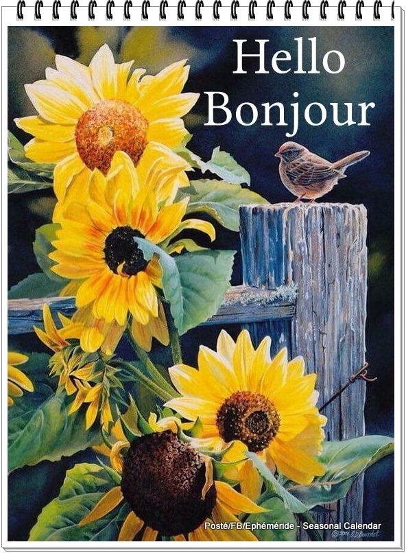 288477163_5475789359137782_651581202189281634_n