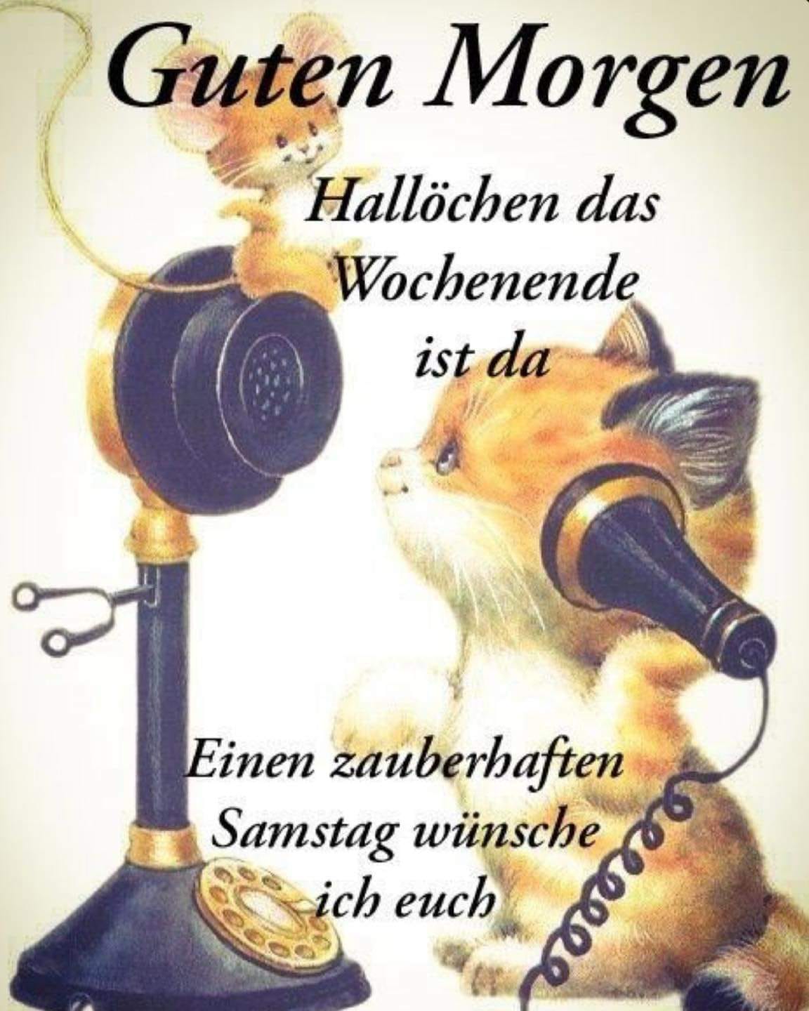 289082916_397826112322791_3460090617805161190_n (1)