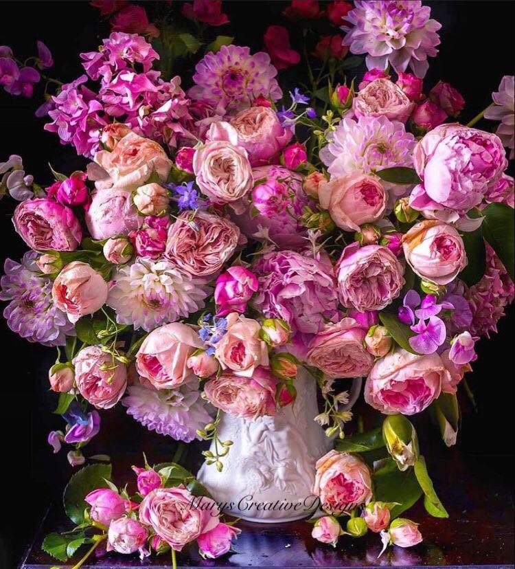 289273694_3227887977448997_6225829236493180360_n