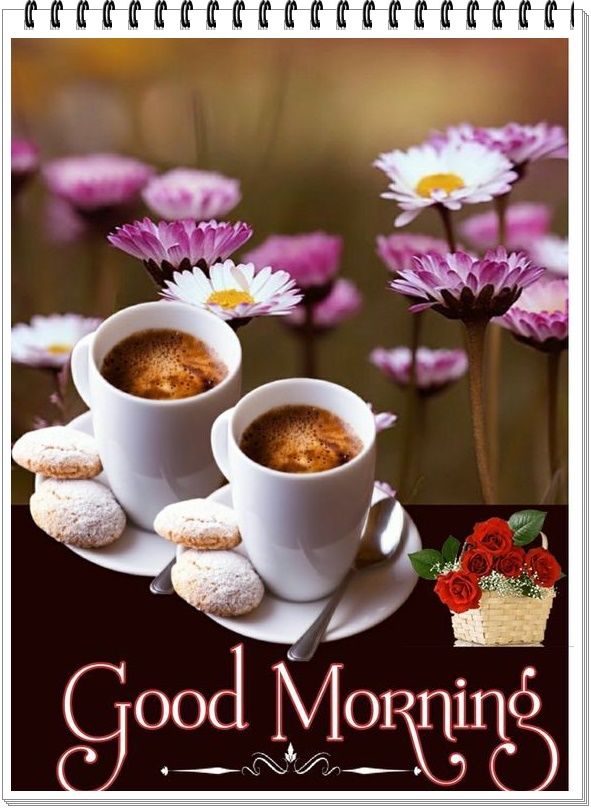 289366422_5487546054628779_4404751161094964507_n