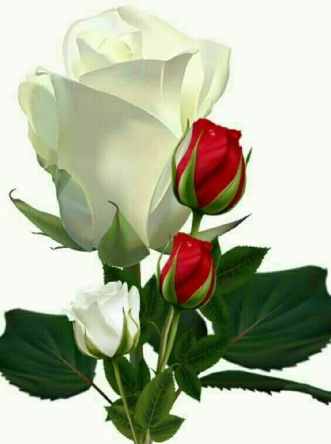 289453479_446194180843455_7173136317732881507_n