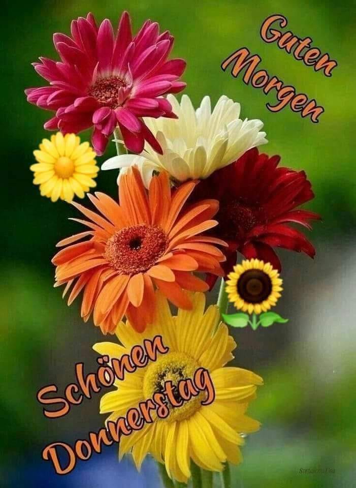 289469616_1126398444609485_7993282656069399321_n (1)