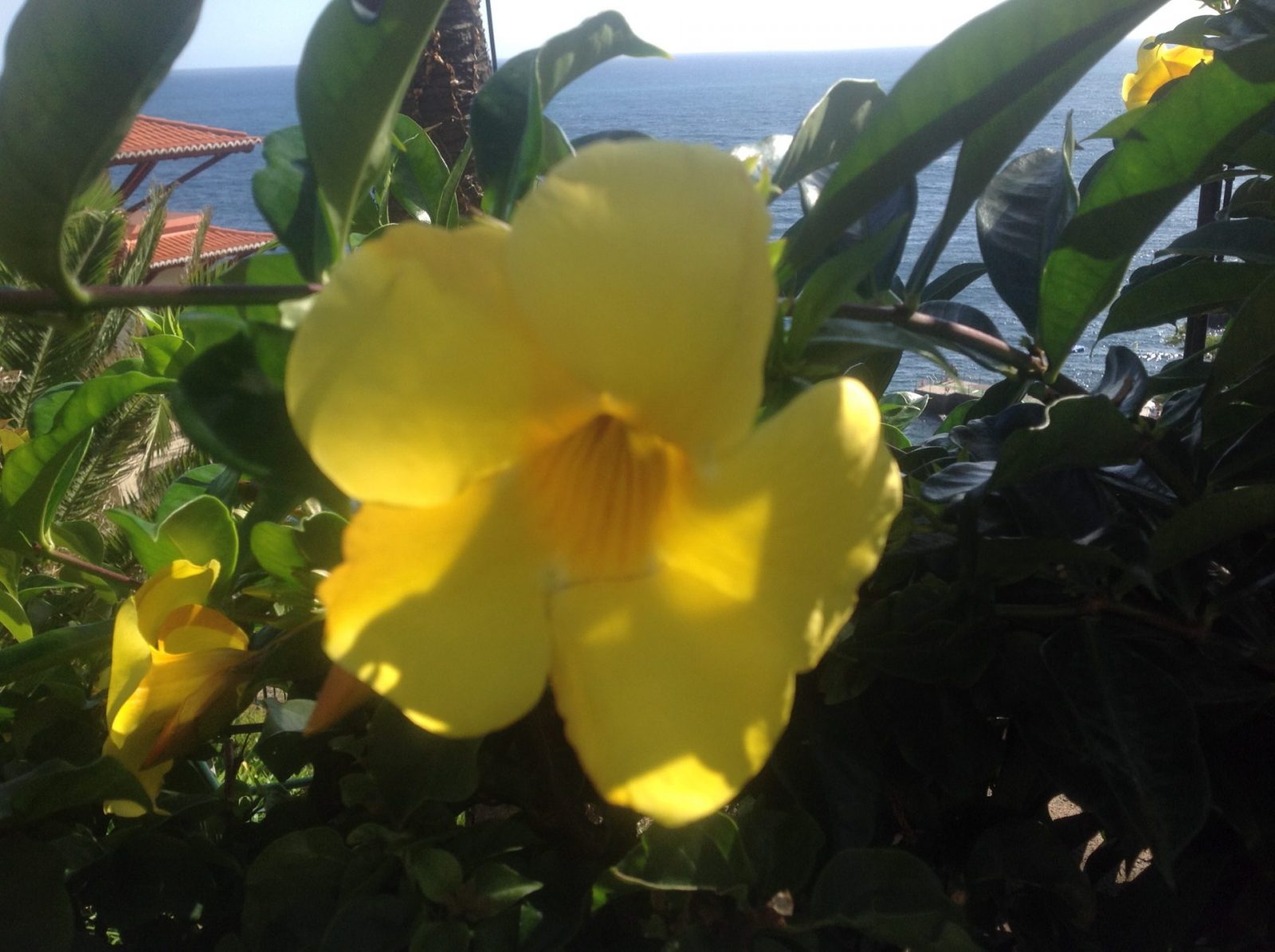 28CD3B46-747B-42F5-AEF3-427B8B76CAE5