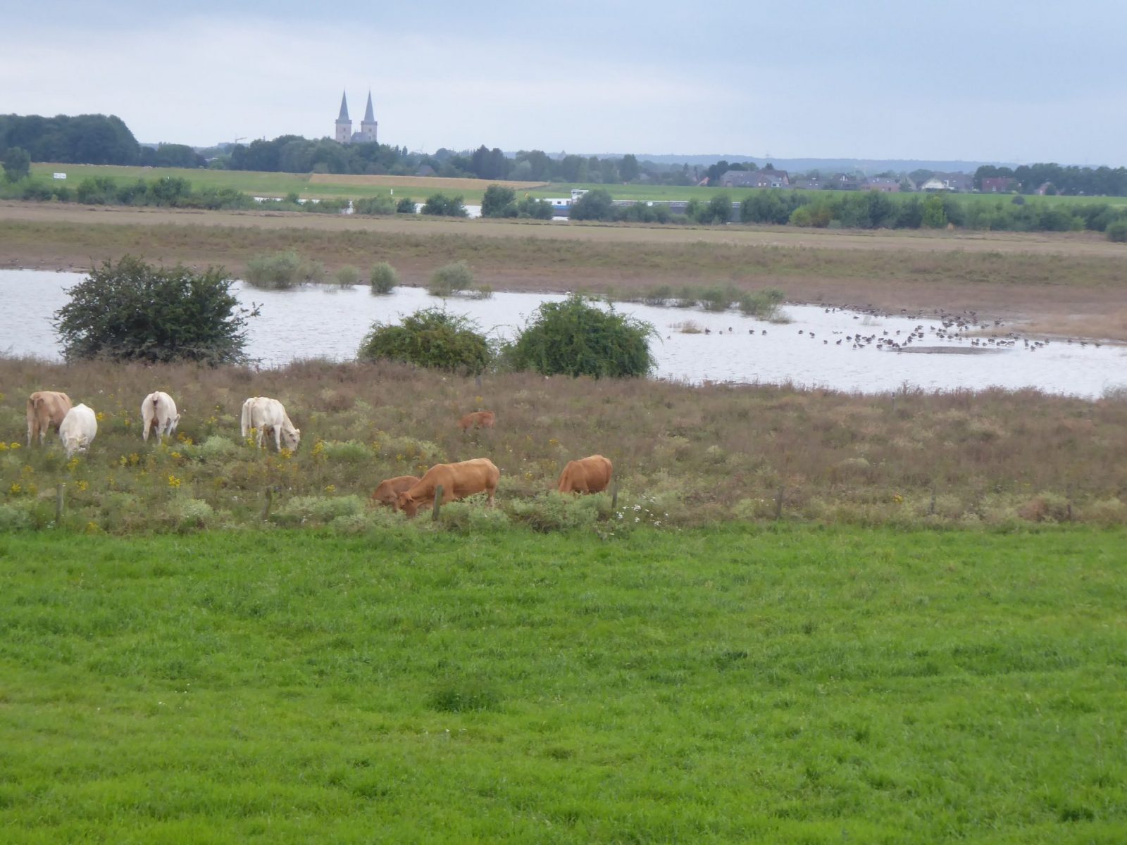 29-31.7.2021 Bislich (82)