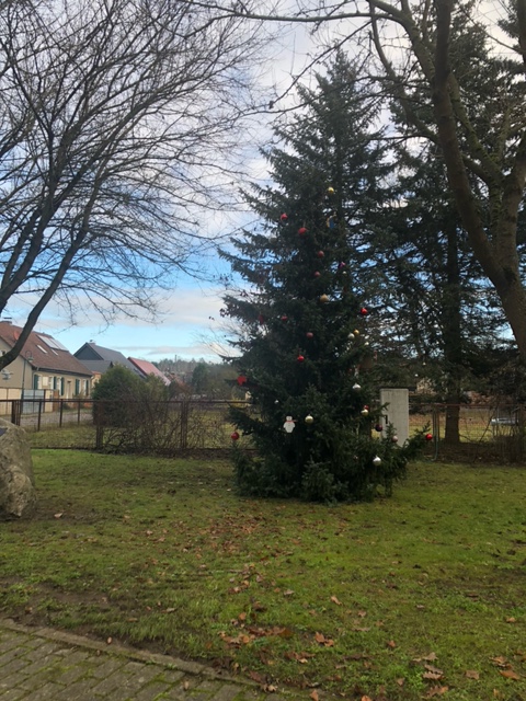 29.11.20.jpeg 2.jpeg 10