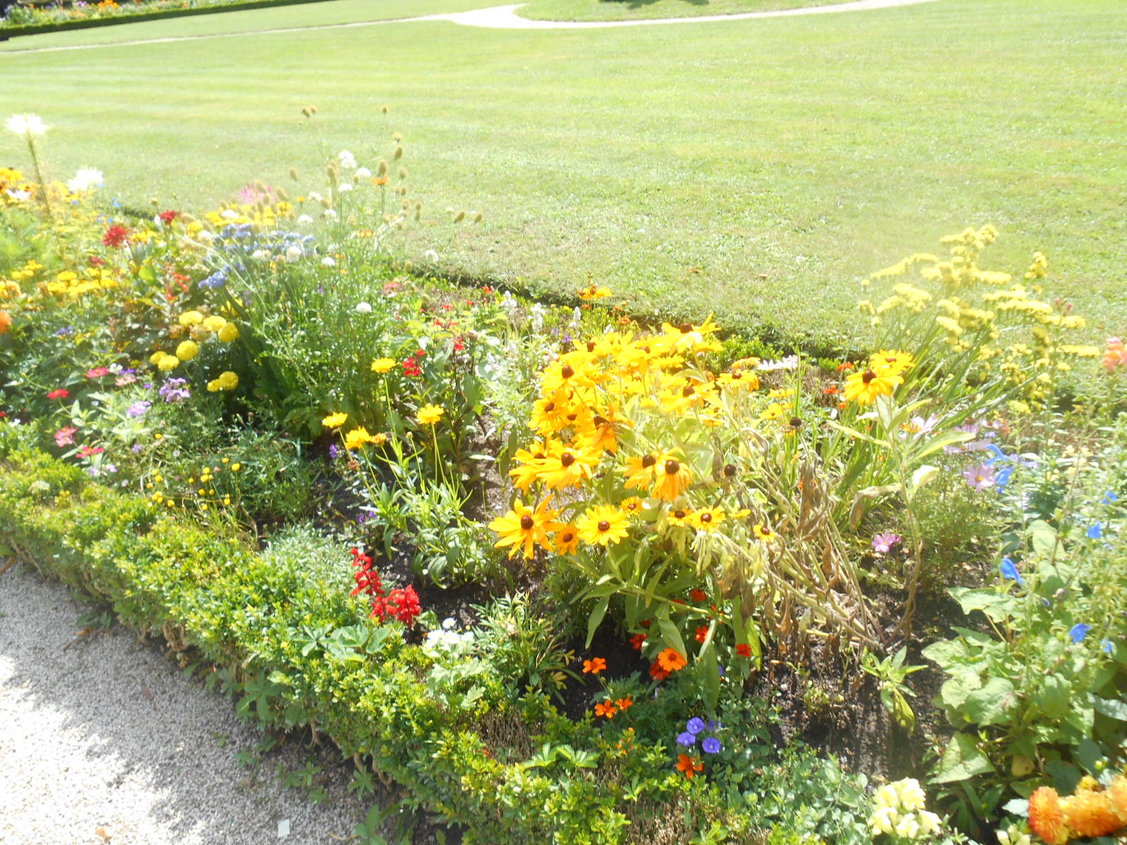 29.7.2016 würzburg 003