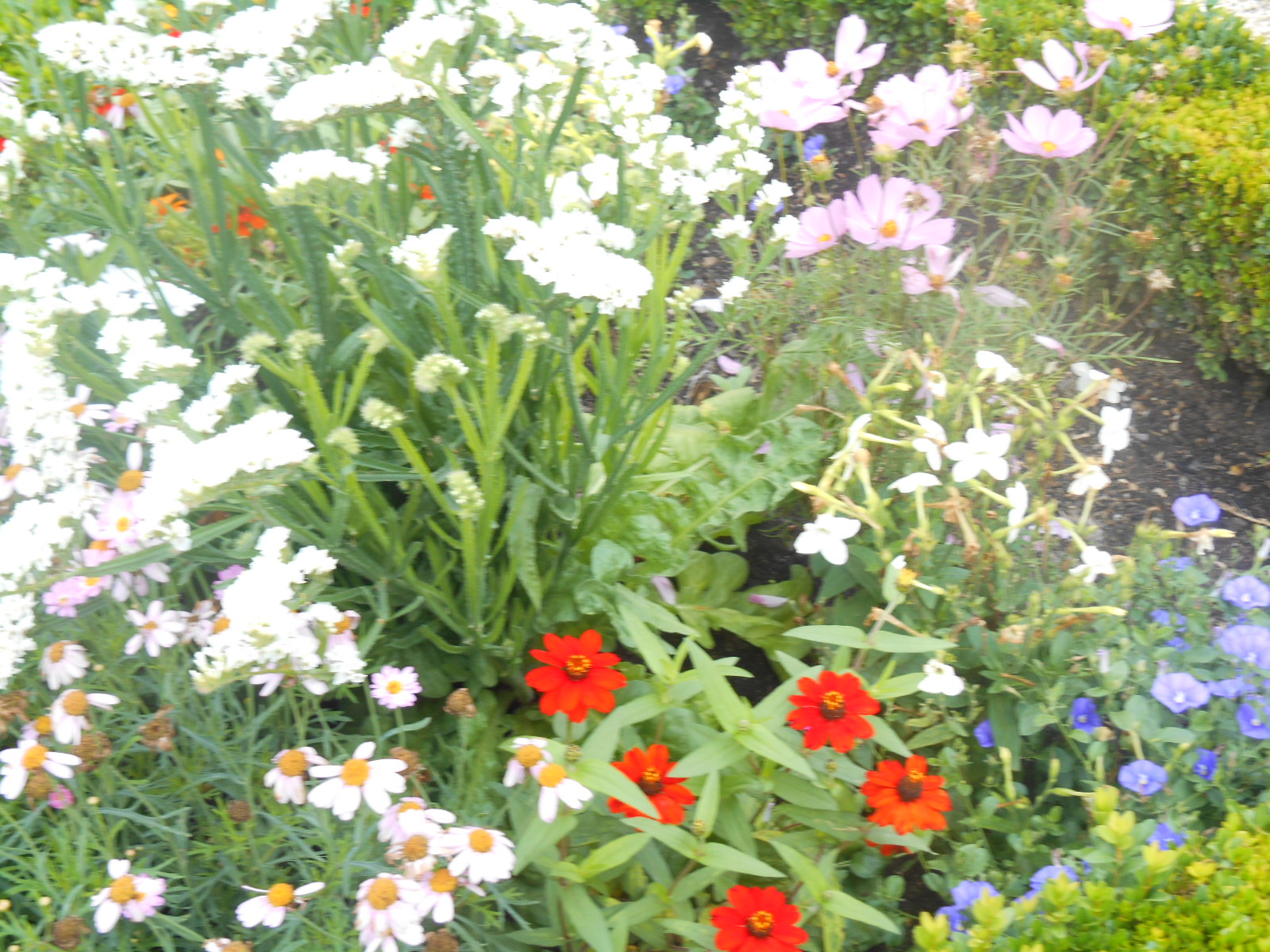 29.7.2016 würzburg 007