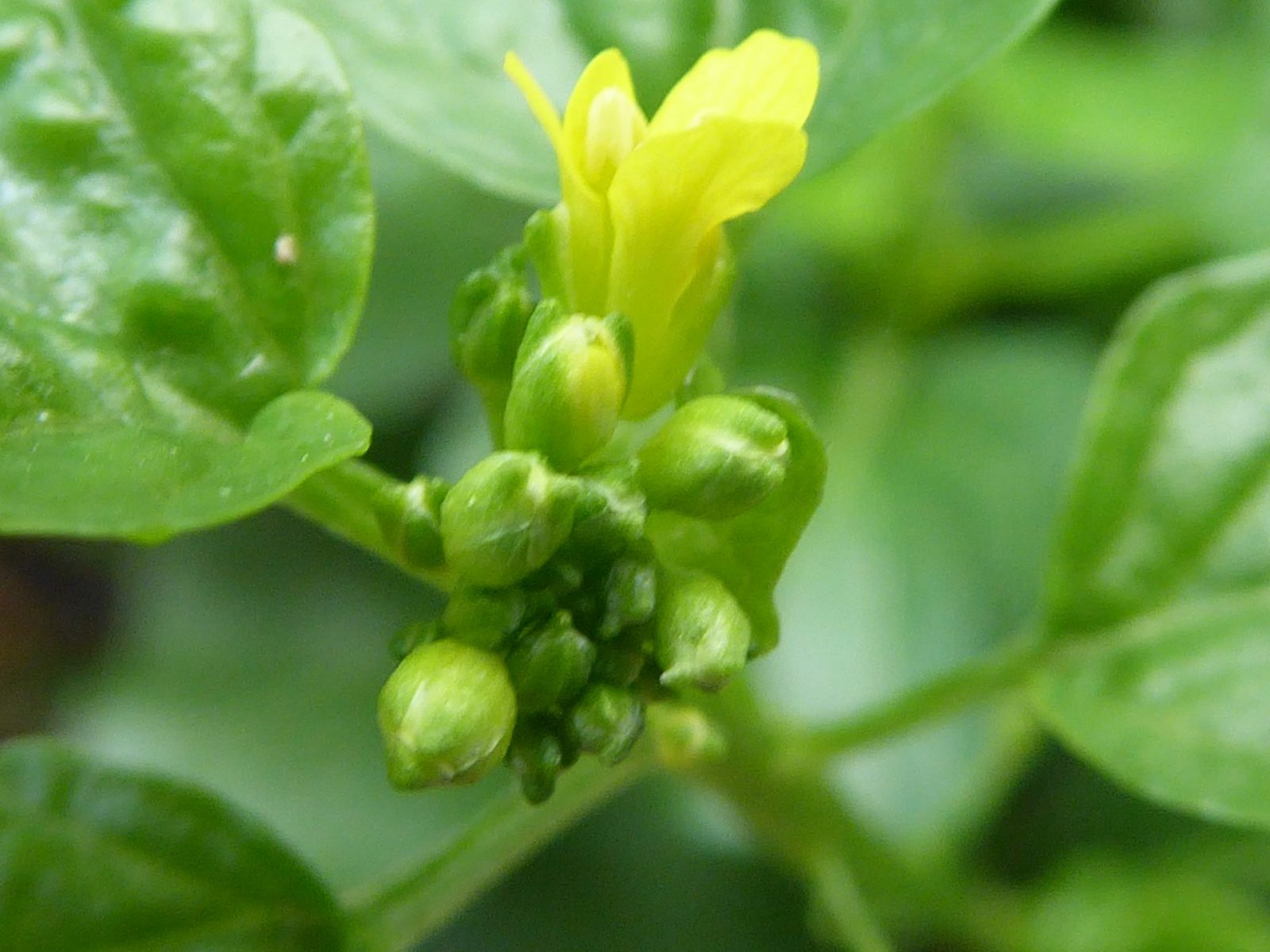 29.9. 2021 Mittwoch (31)