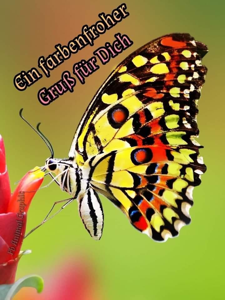 290137537_1499893887131579_4585242339104142204_n