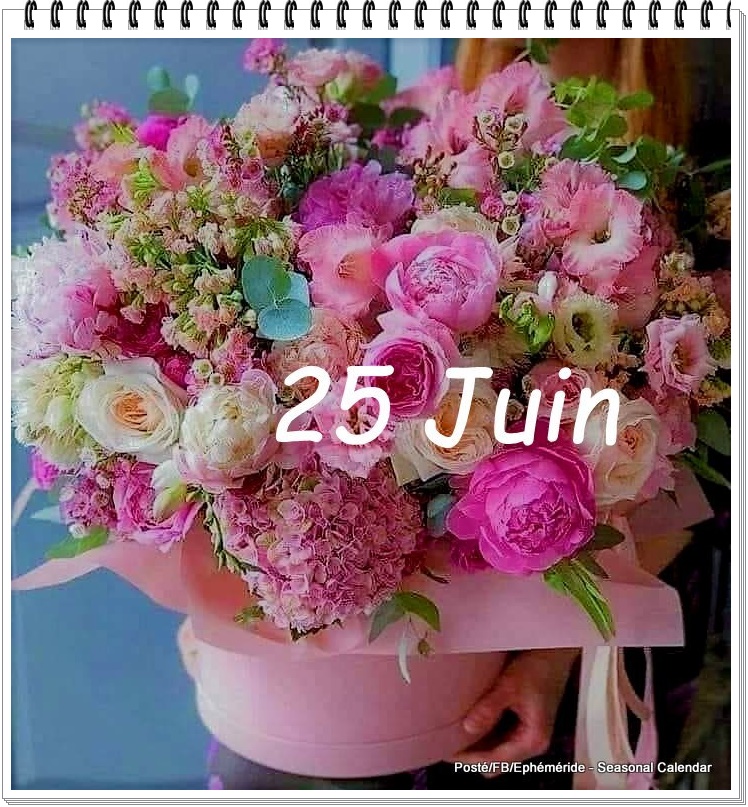 290181953_5502390279811023_5757326080701853993_n