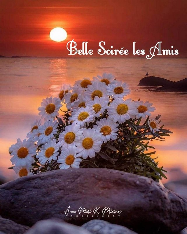 290424924_5504659326250785_6300483303230387741_n