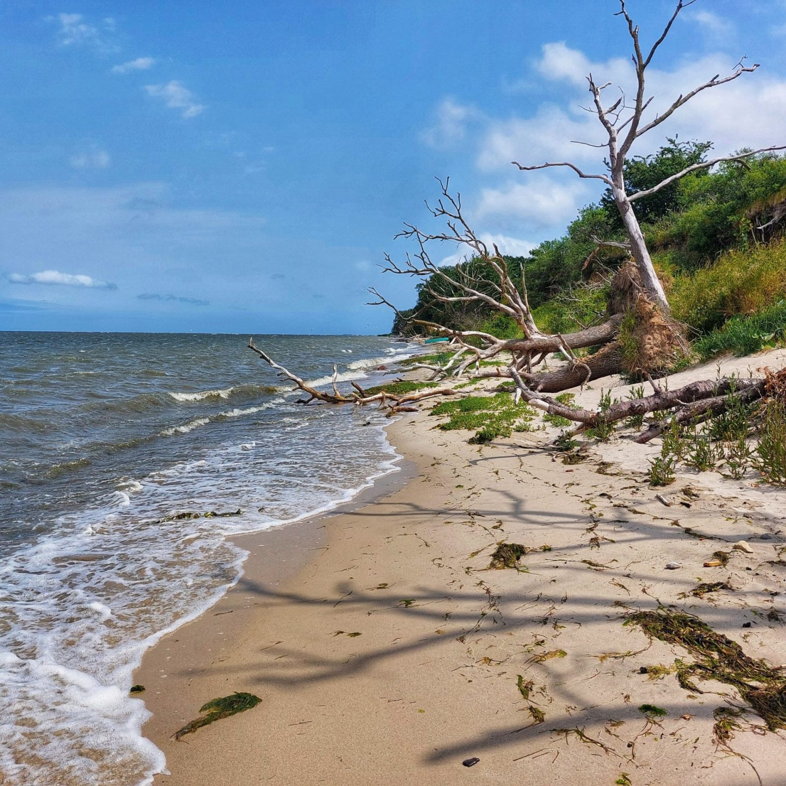 290794502_527587775571797_2873224257725778634_n