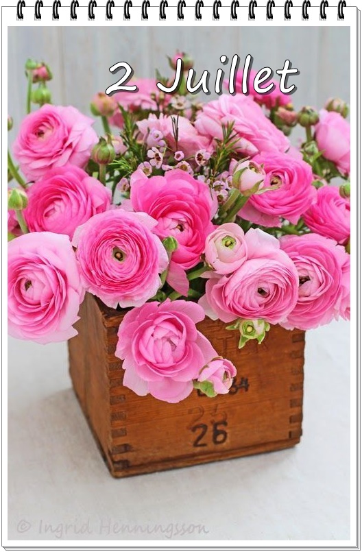 291563438_5522378284478889_2244897018795564381_n