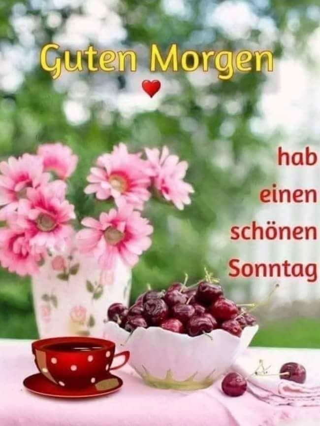 291720790_1133055543943775_1326424297869644701_n (2)