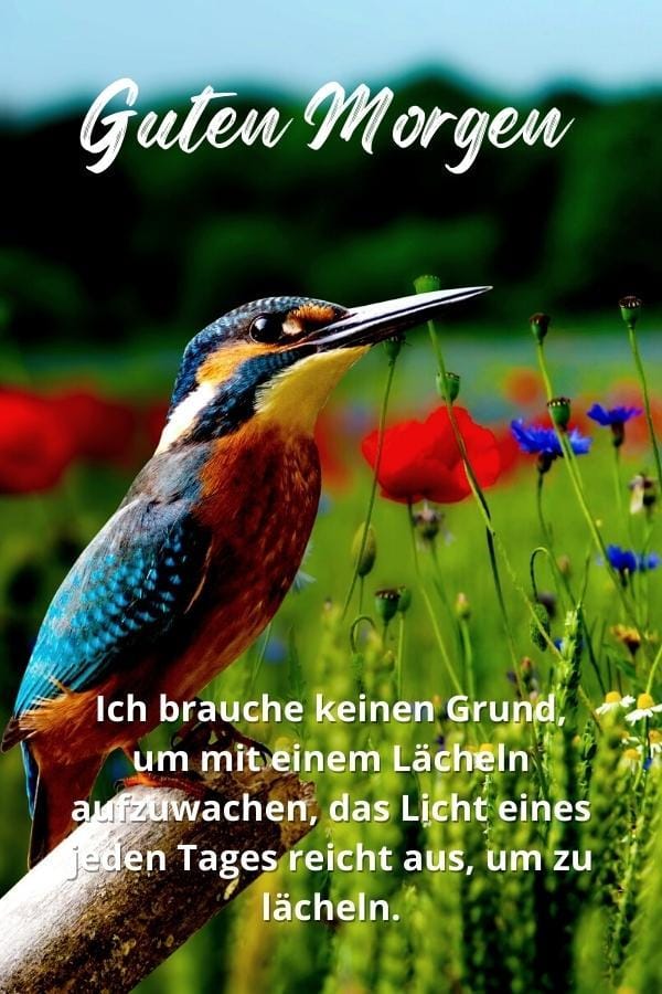 291966901_414568480729344_2800018433967394262_n