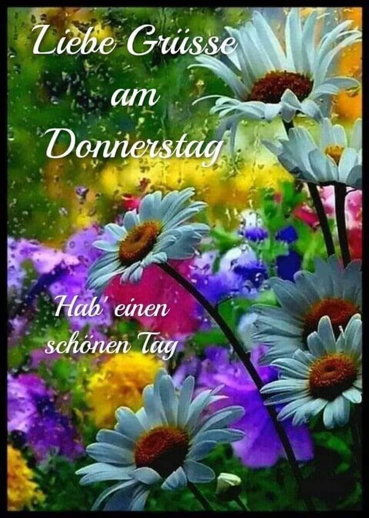 292479086_1135645843684745_8676190843281849631_n (2)