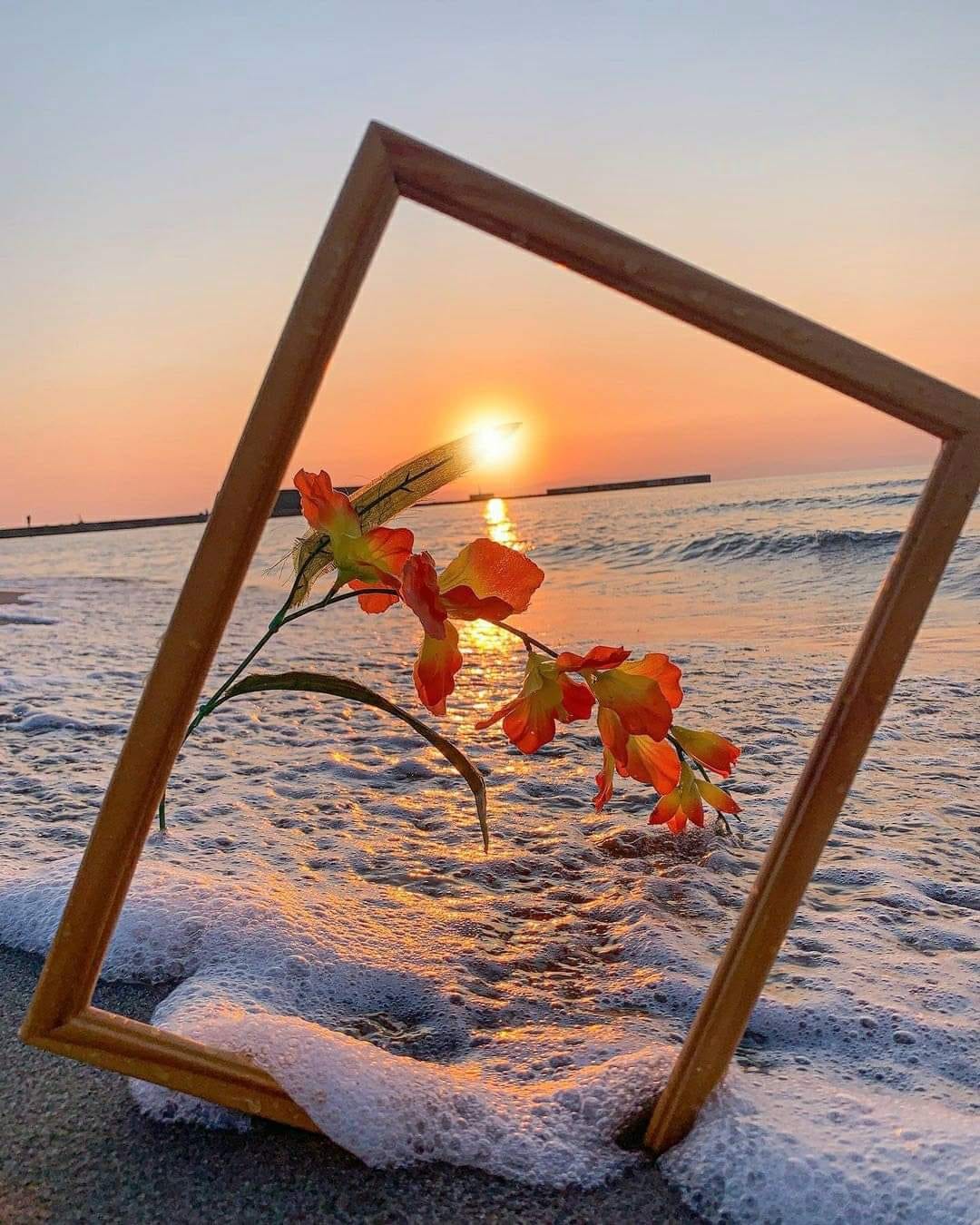 293063528_5317415601667828_5776234870893129246_n