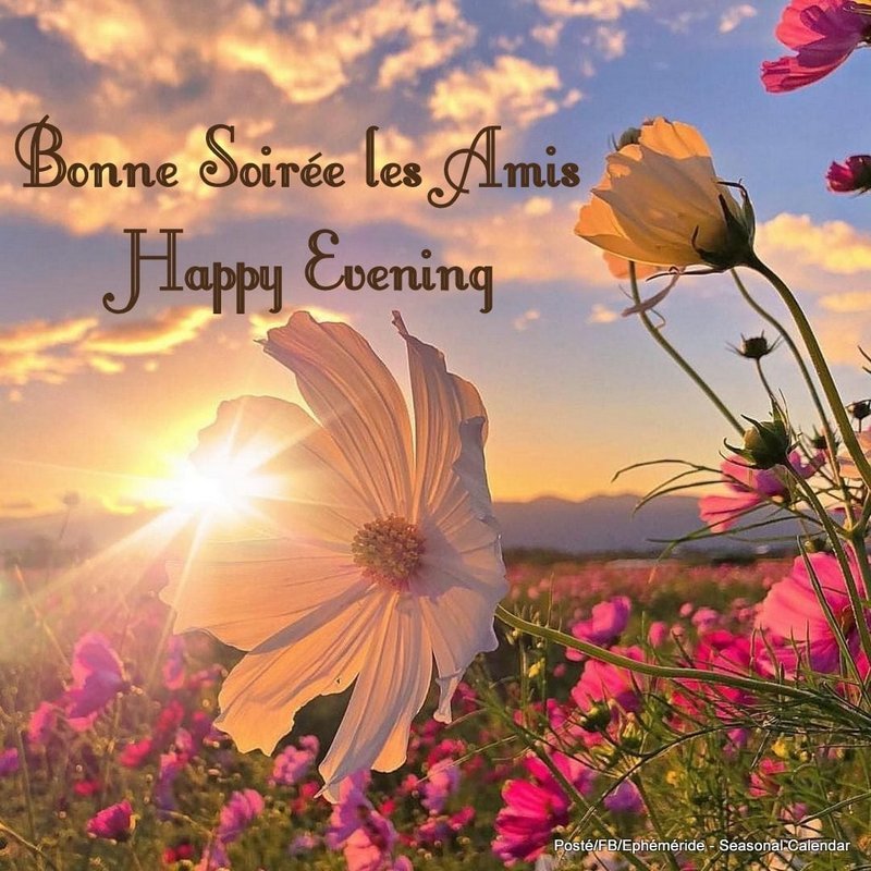 293319643_5548202925229758_6501804275929748167_n