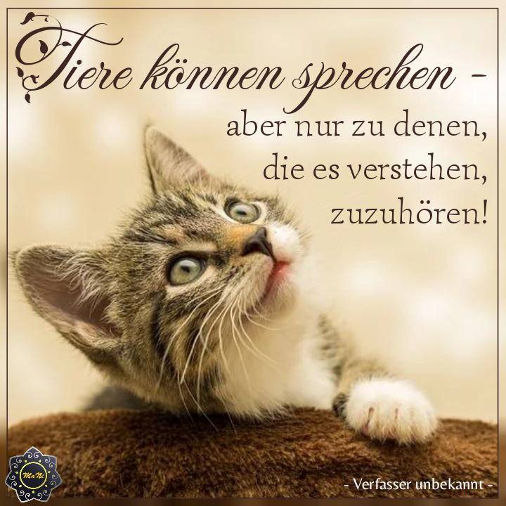 293827857_362783749334063_920035327995048141_n