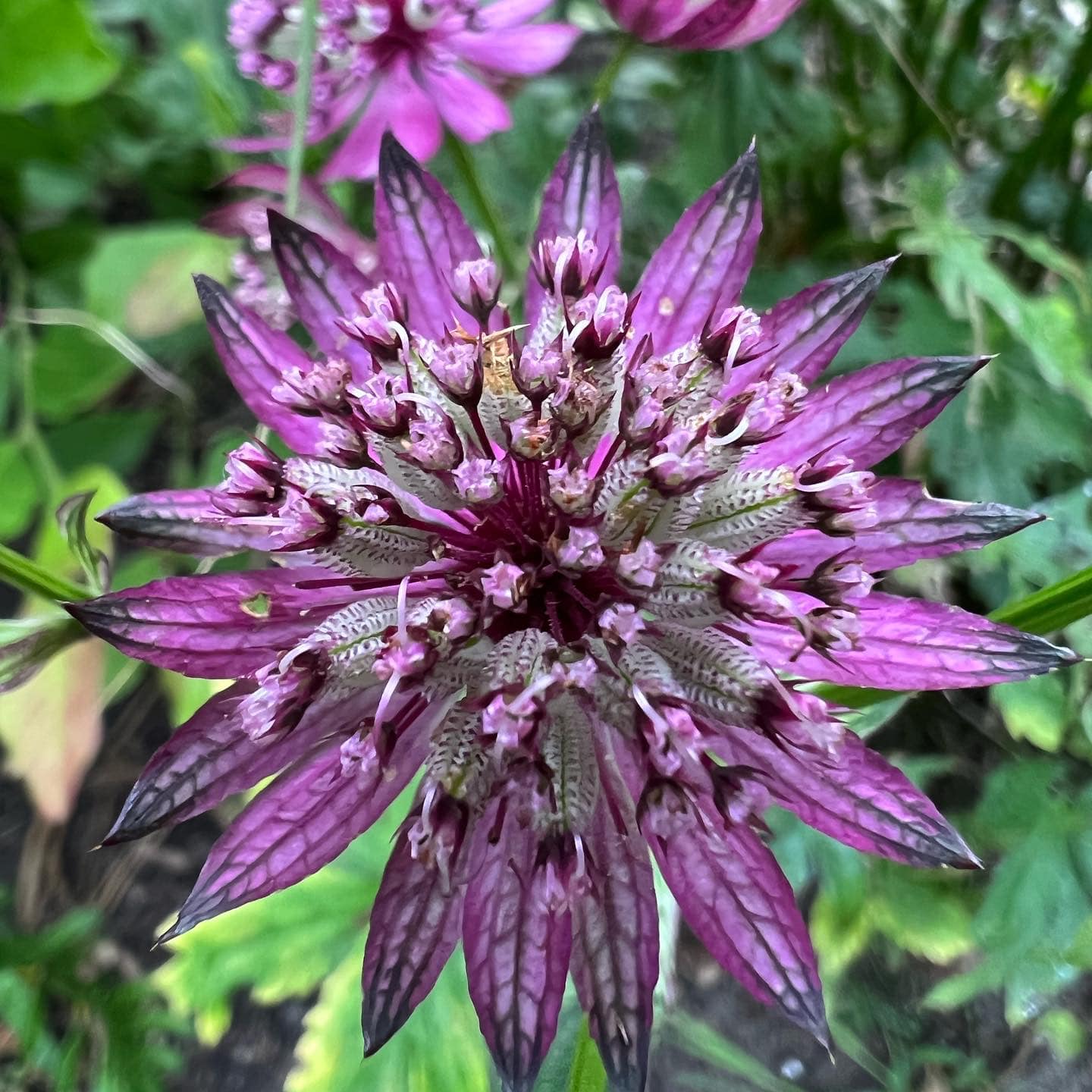 294145644_717196492852595_4494932593781300466_n