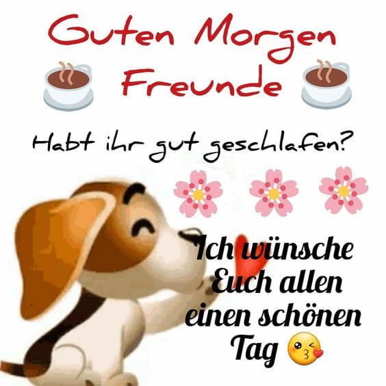 294311186_783136602726267_4099902518111884472_n (1)