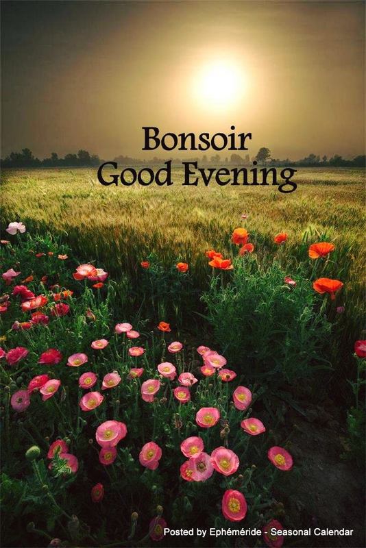 294312106_5567616106621773_1503202806708139939_n