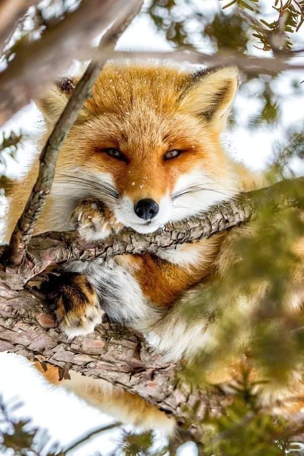 294338109_1513752719079029_8198922696855303312_n