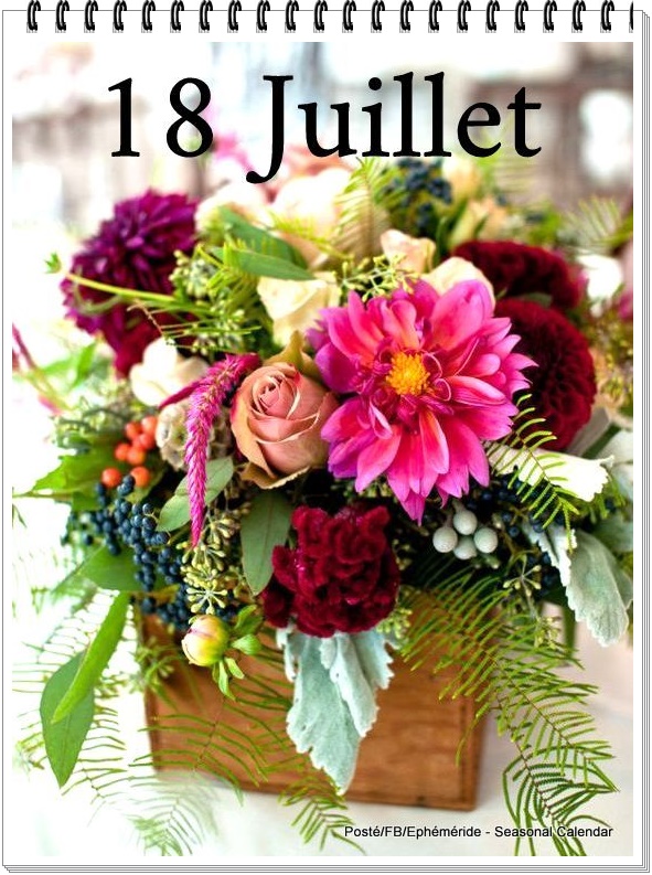 294404725_5568479616535422_9061647134811592104_n