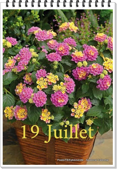 294606878_5568435573206493_2461275483765783161_n