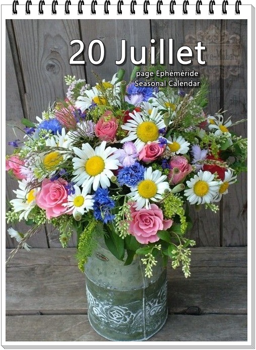 294649916_5574057282644322_8463228093089812418_n