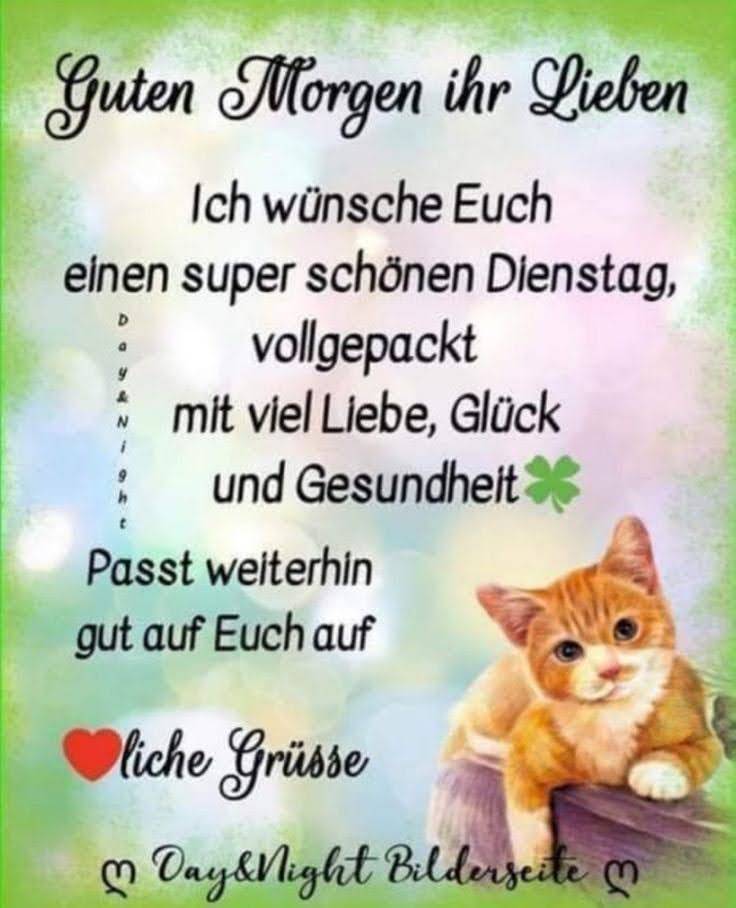 294785324_366041749008263_2102354779793598399_n (1)