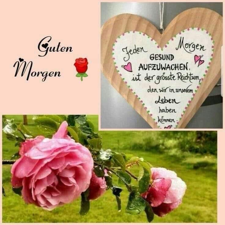 2953f989-cbfa-41b4-8f2f-3b0a8f433e5b