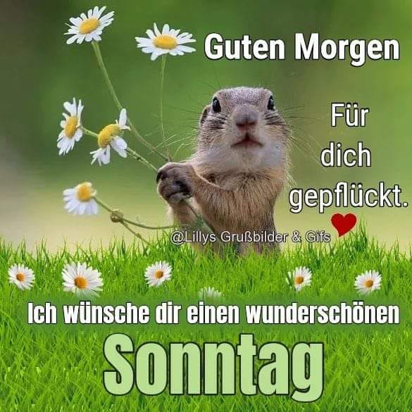 295773726_1142294186353244_954789048045568714_n (2)